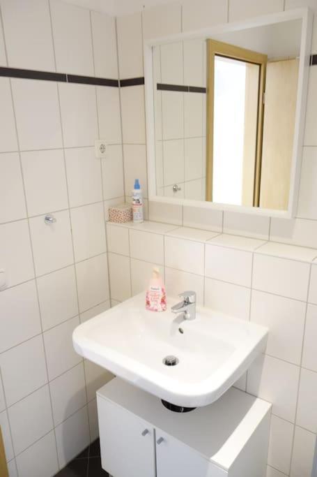 Cozy Apartment In Dresden Neustadt エクステリア 写真